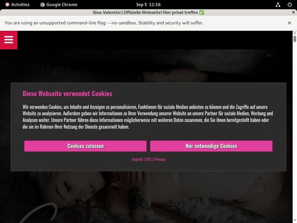 Accounts On Sina Valentini