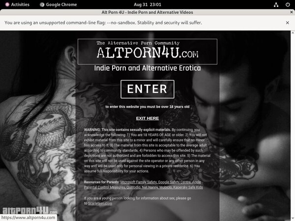 Altporn4u Limited Deal