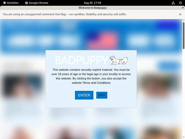 [Image: Badpuppycom-Mobile-Account.jpg]