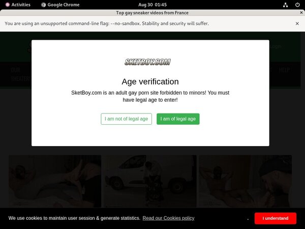 Boy Sket Login Account