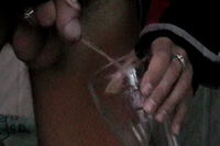 Boys Pissing Checkout Form s0