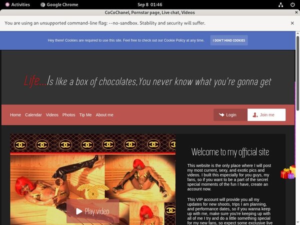 CoCoChanel Website Accounts