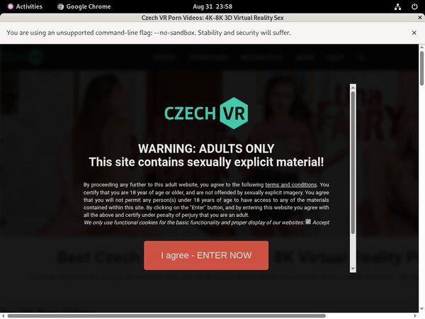 Czech VR Accounts