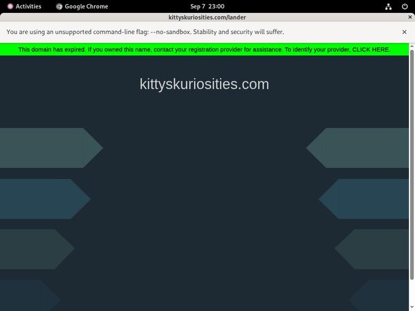 [Image: Does-Kittys-Kuriosities-Use-Paypal.jpg]