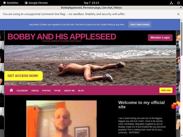 Free BobbyAppleseed Account Passwords