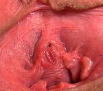 Gapemypussy.com Femdom