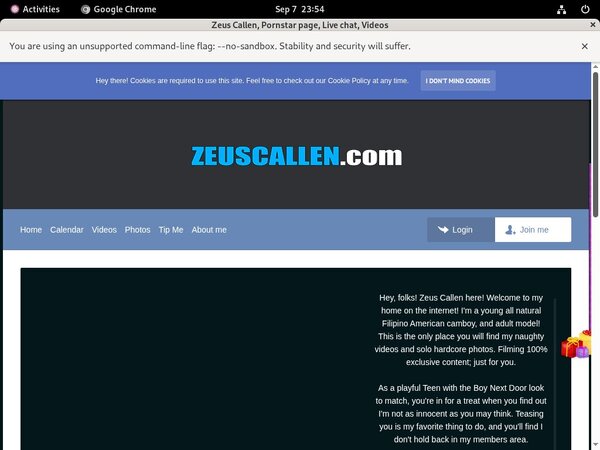 Get Into Zeuscallmodelcentro.com Free