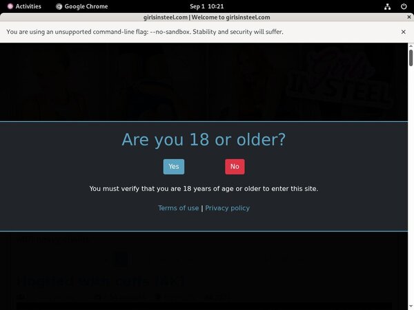 [Image: Girlsinsteel-Sale-Price.jpg]