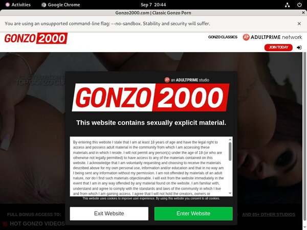 Gonzo 2000 New Porn