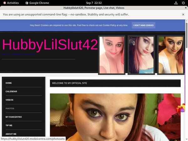 Hubbylilslut420.modelcentro.com Account Information