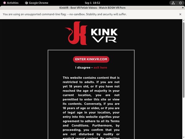Kinkvr Login