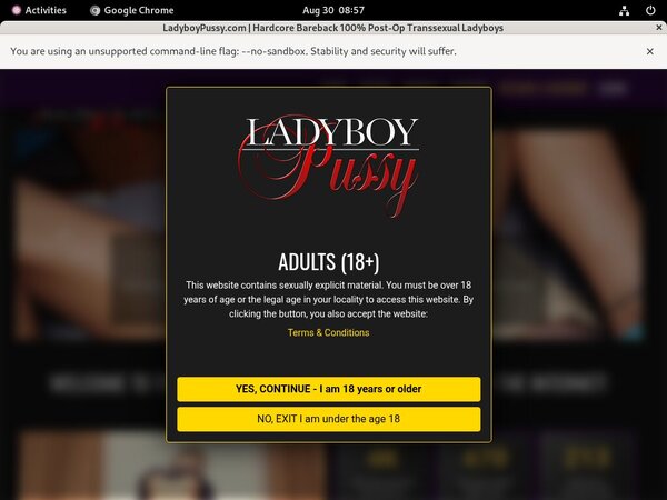 Ladyboypussy.com Tv