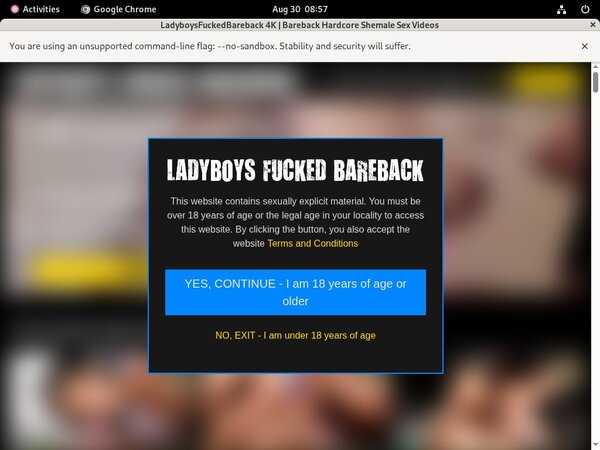 Ladyboysfuckedbareback Network Password