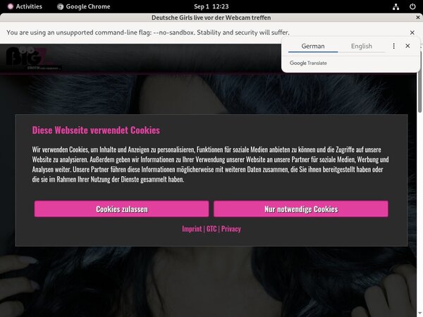 Lanagiselle.tv With ECheck