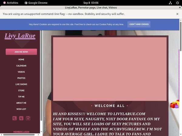 Livylarue.modelcentro.com With Paypal Account