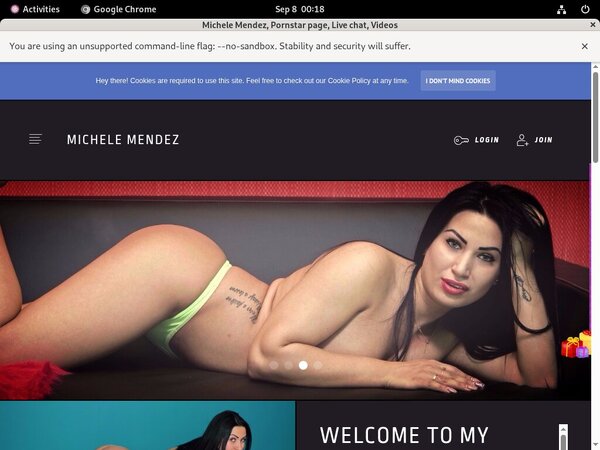 Mendez Michele Free Login