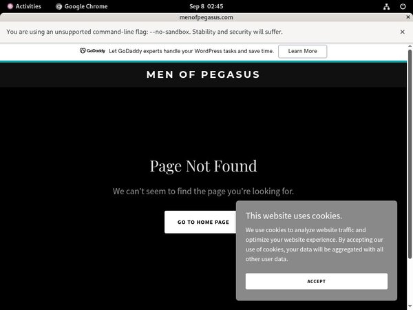 Menofpegasus.com With IBAN