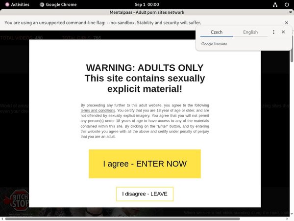 Mental Pass Access