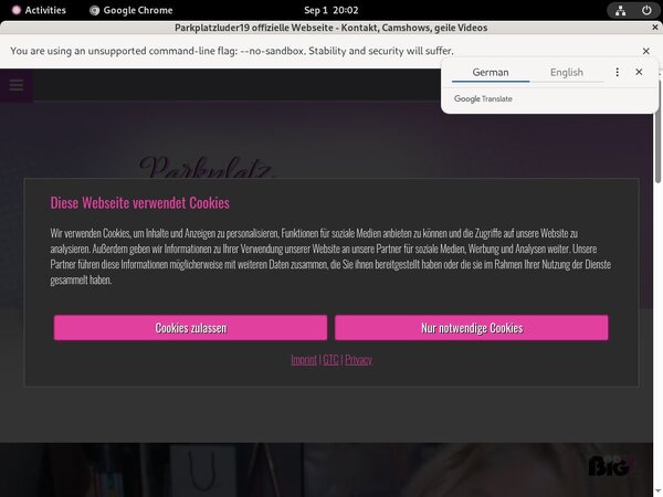 Parkplatzluder19.com Vendo