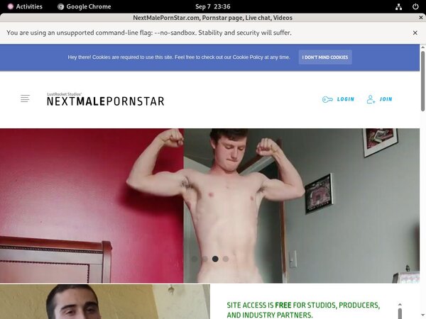 Passwords Nextmalepornstar.com