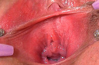 Paypal With Gapemypussy.com s0