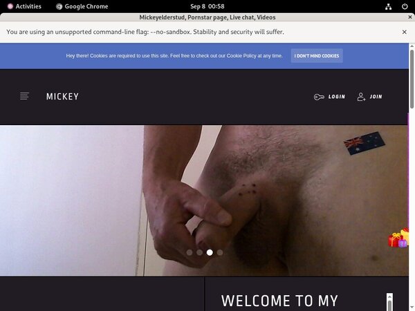 Premium Account Mickeyelderstud.modelcentro.com Free Premium Account Mickeyelderstud.modelcentro.com Free