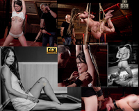 Premium Subspaceland.com Account Free s0