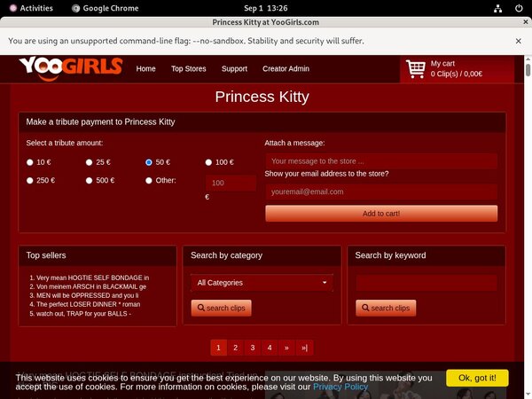 Princess Kitty Username