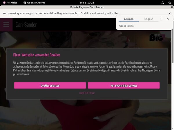 Sari-sander.com Sign Up Form