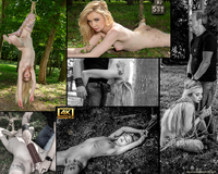 Subspace Land Free Trial Membership s2