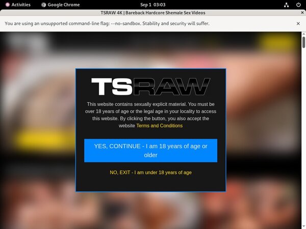 TS Raw With Bank Account