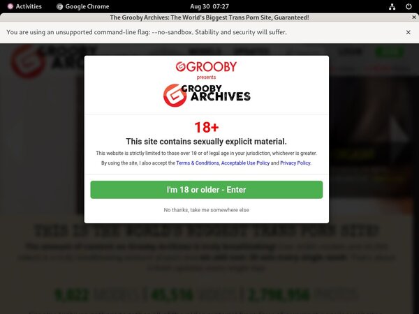 Thegroobyarchives Paypal?