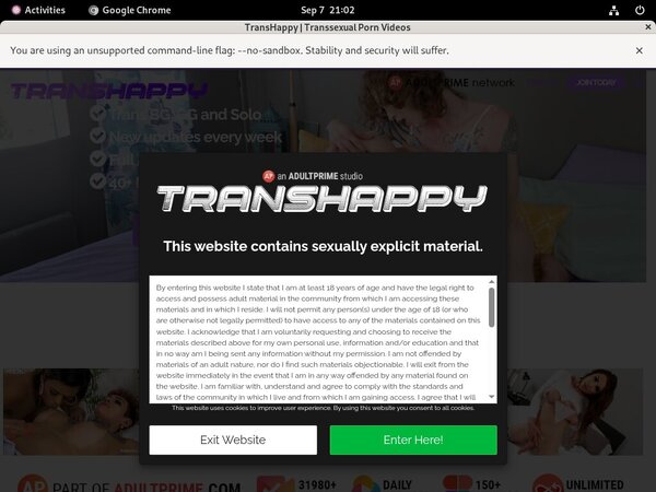 Transhappy.com Picture