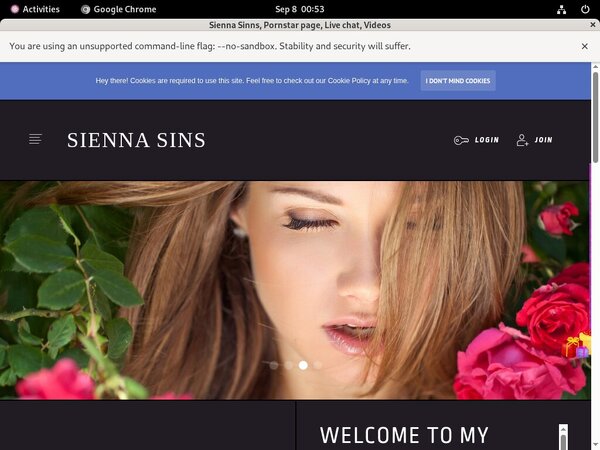 Username And Password For Sienna Sinns