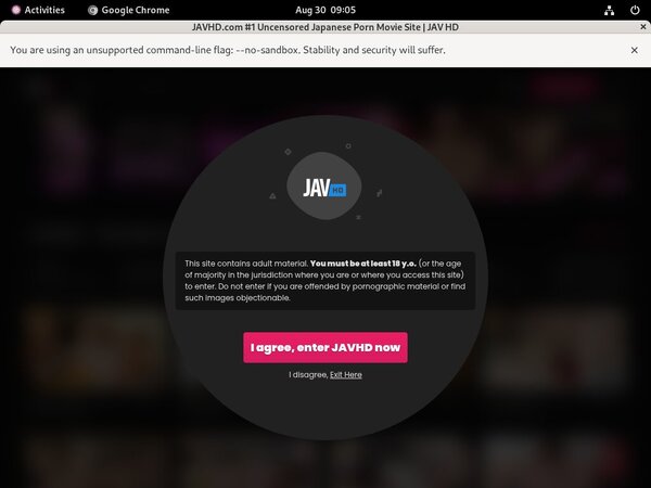 JAV HD Guys