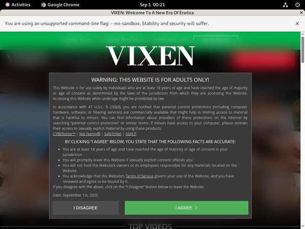 Vixen.com With Discover Card